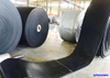 Circle CHEVRON Conveyor Belt/Pattern/Thick Nylon Conveyor Belt