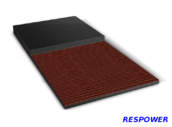 Straight Warp Conveyor Belt (SWbelt)